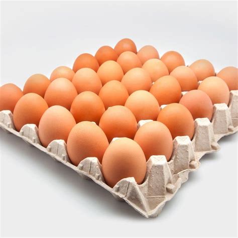 30 lu yumurta en ucuz